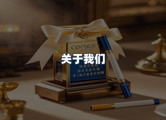 专业团队